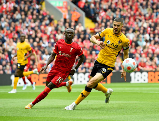 这样的动词 这样的动词