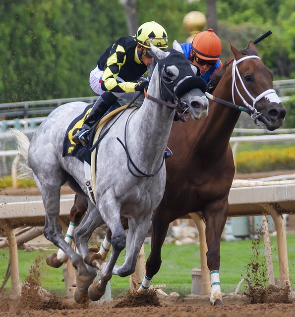 等动作动词 等动作动词